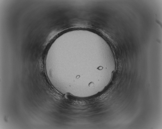 X0000097881215200804041606