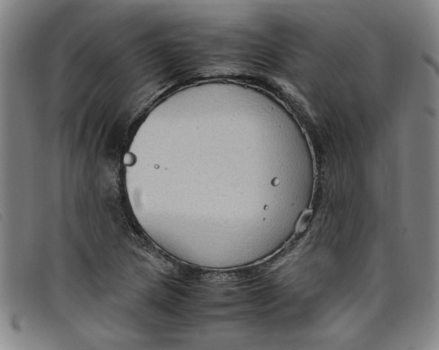 X0000097881217200804041606