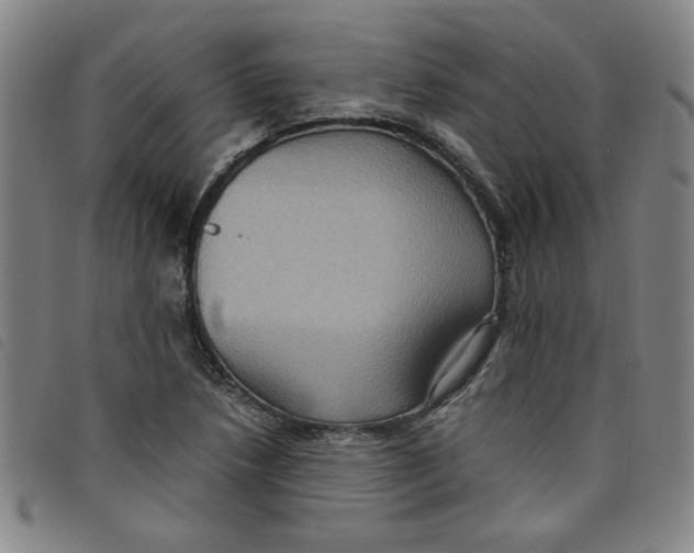 X0000097881218200804041606