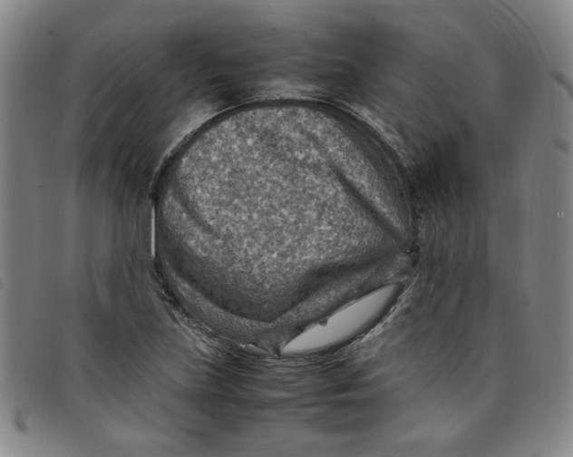 X0000097881219200804041606