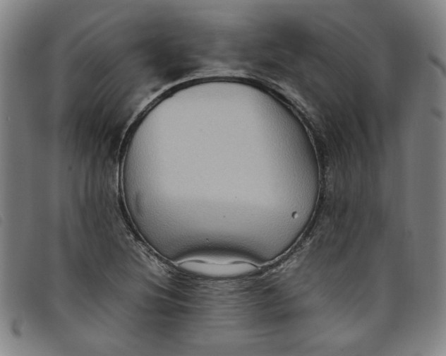 X0000097881220200804041606