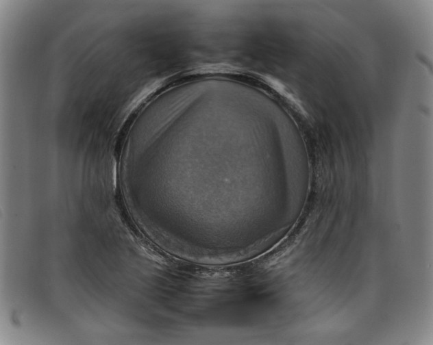 X0000097881221200804041606