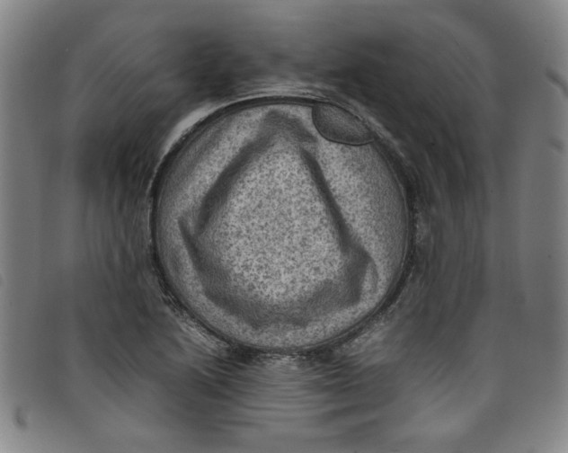 X0000097881222200804041606