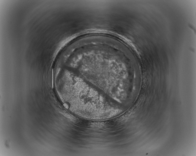 X0000097881223200804041606