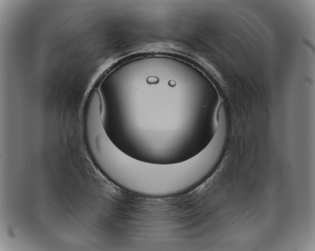 X0000097881224200804041606