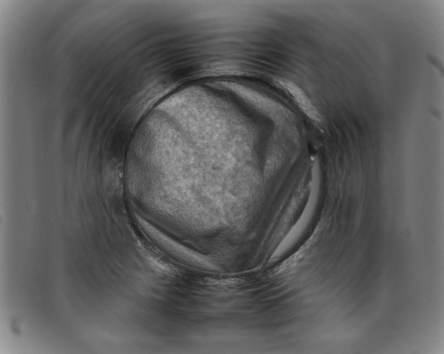 X0000097881225200804041606