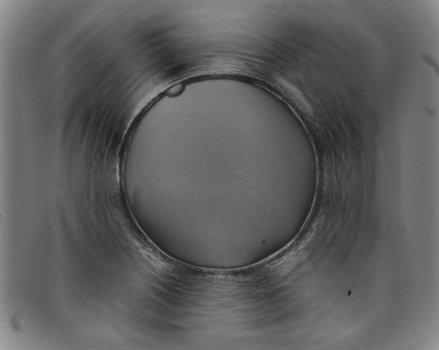 X0000097881226200804041606