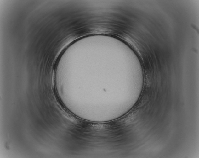 X0000097881227200804041606