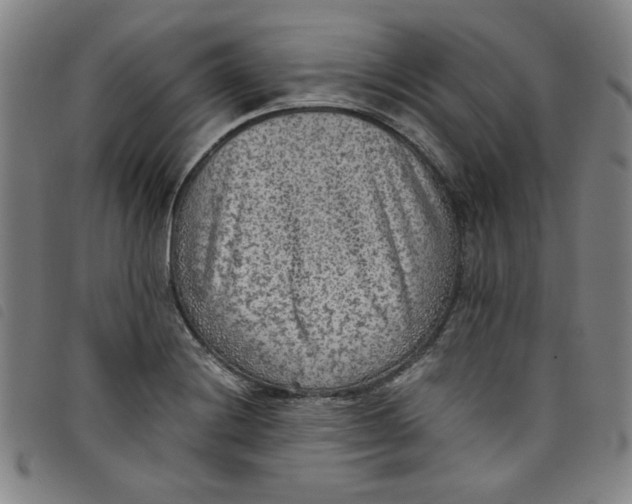 X0000097881228200804041606