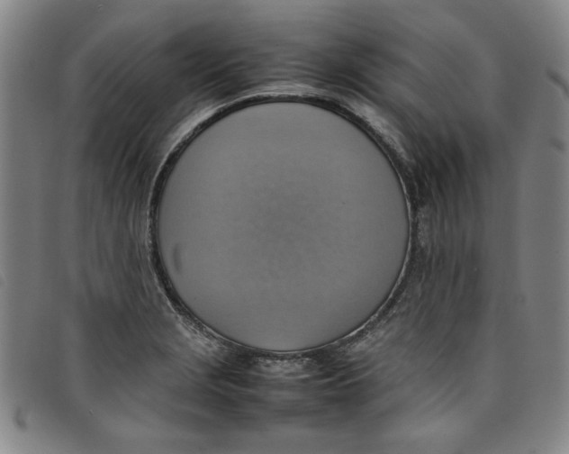 X0000097881229200804041606