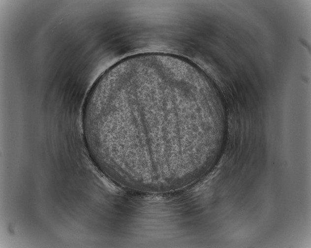 X0000097881230200804041606