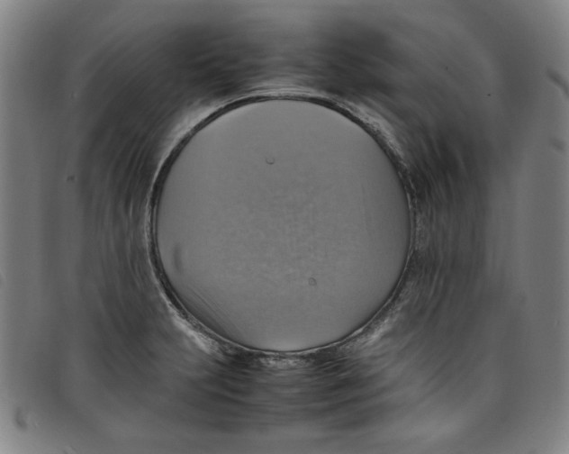 X0000097881231200804041606