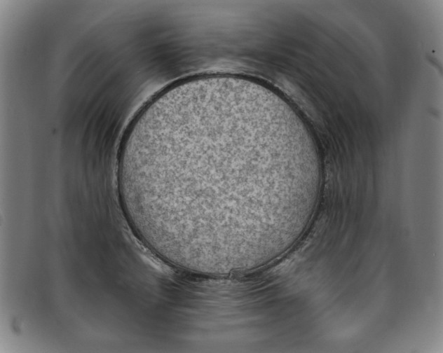 X0000097881232200804041606