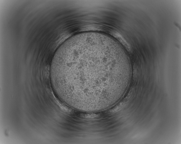 X0000097881233200804041606