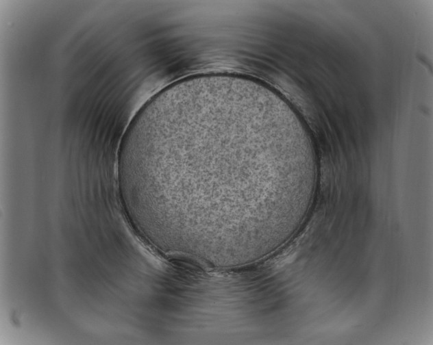 X0000097881234200804041606