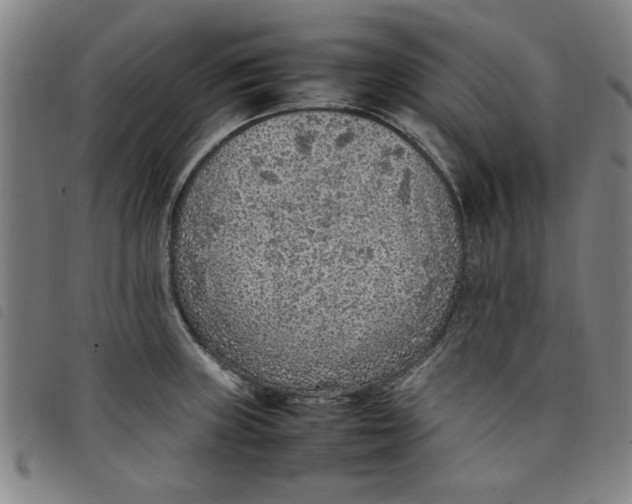 X0000097881235200804041606