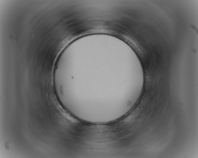 X0000097881236200804041606