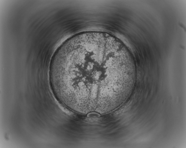 X0000097881237200804041606