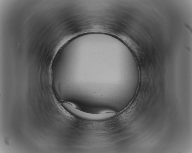 X0000097881238200804041606