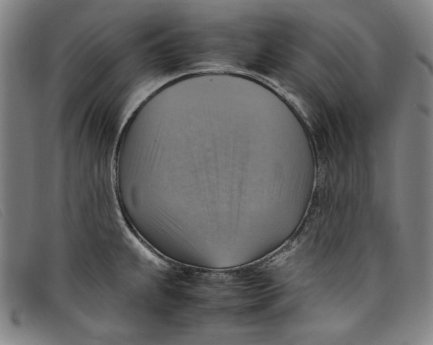 X0000097881239200804041606