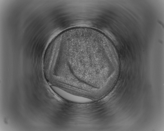 X0000097881240200804041606