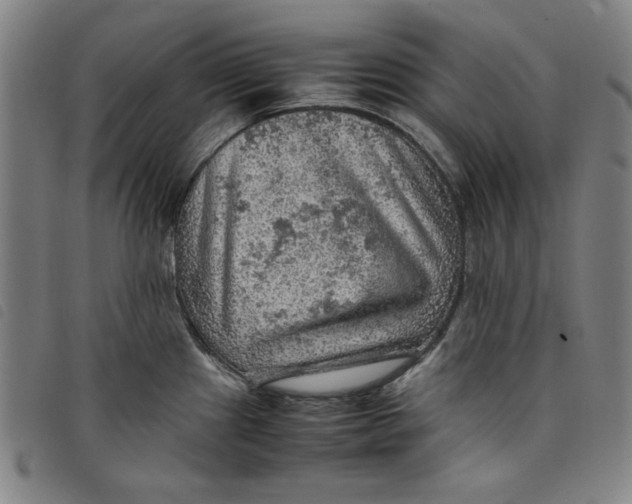 X0000097881241200804041606