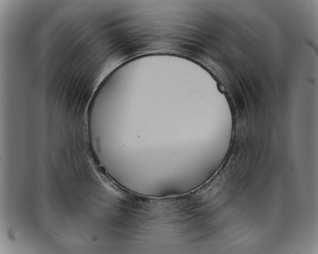 X0000097881242200804041606