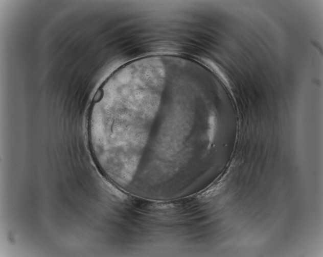 X0000097881243200804041606