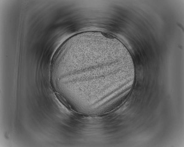 X0000097881244200804041606