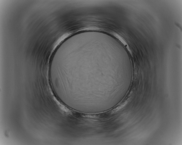 X0000097881245200804041606