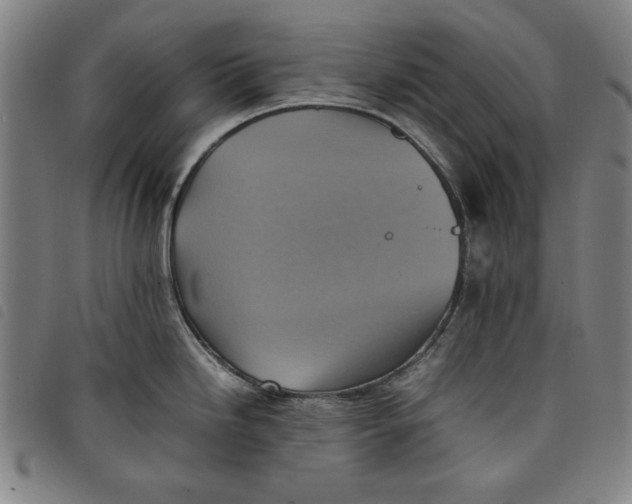 X0000097881246200804041606