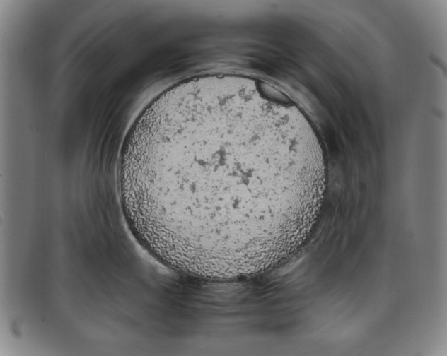 X0000097881247200804041606