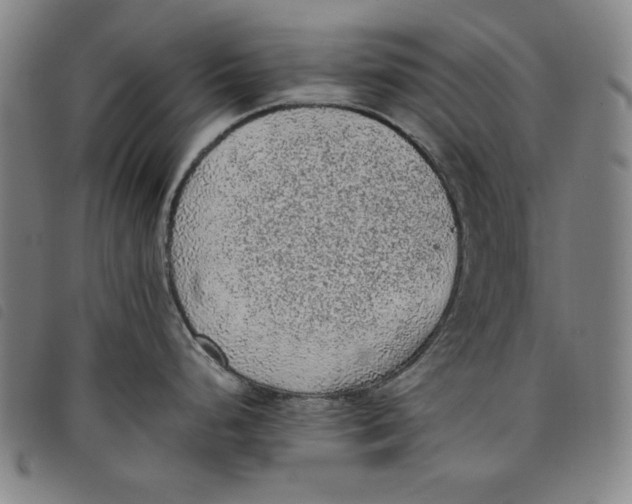 X0000097881248200804041607