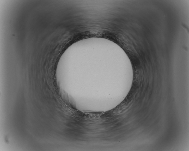 X0000097881249200804041606