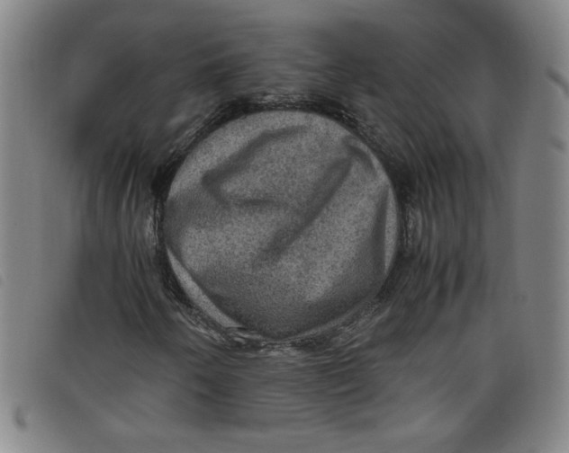 X0000097881250200804041606