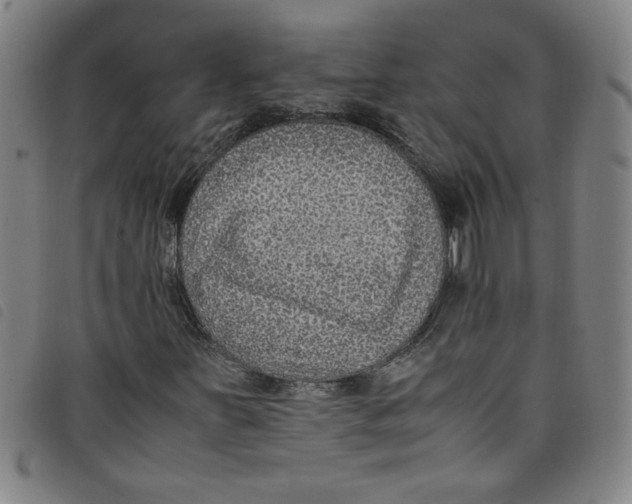 X0000097881251200804041606