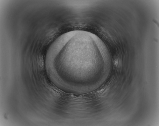 X0000097881252200804041606