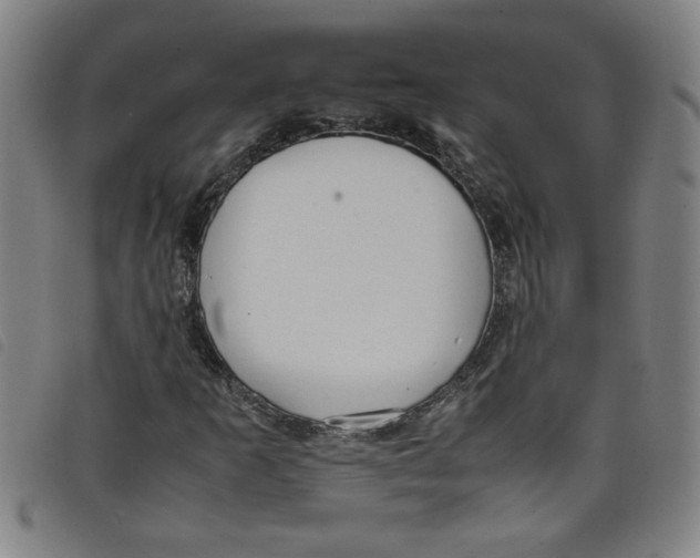 X0000097881253200804041606