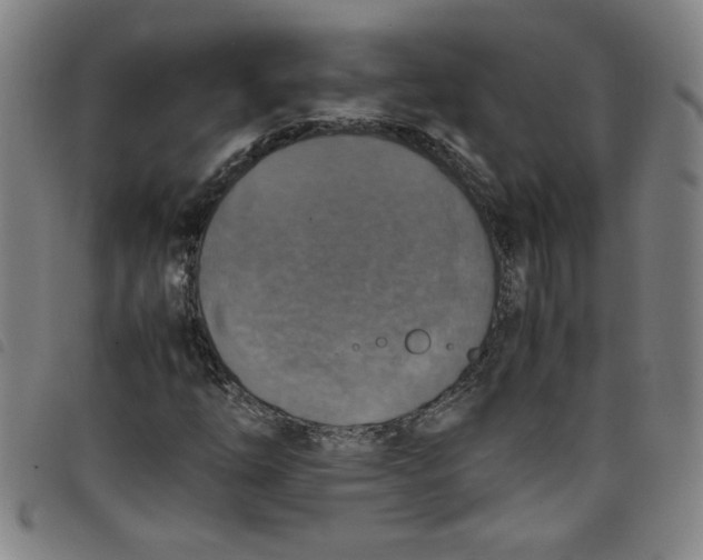 X0000097881254200804041606