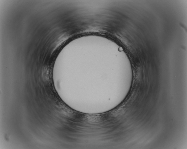 X0000097881258200804041606