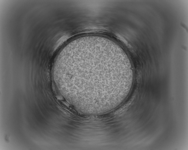 X0000097881259200804041606