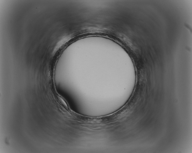 X0000097881261200804041606