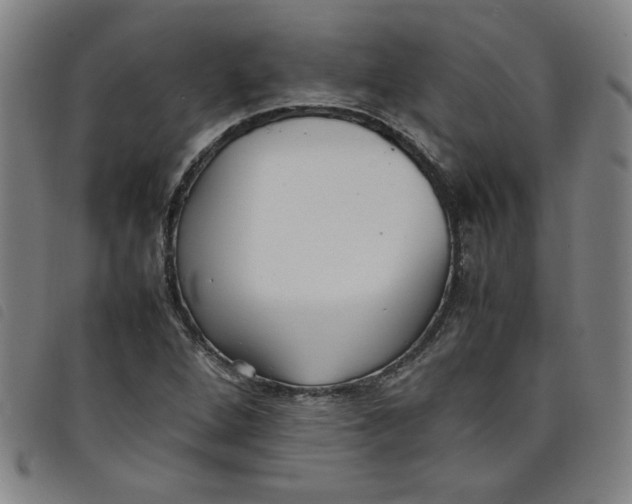 X0000097881264200804041606