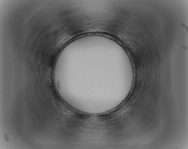 X0000097881265200804041606