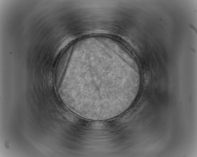 X0000097881266200804041606