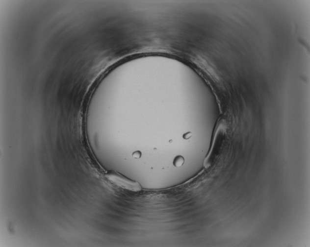 X0000097881268200804041606