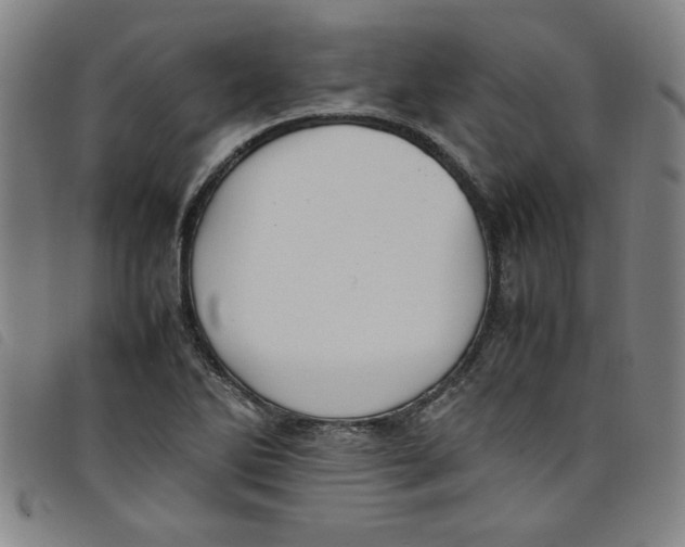 X0000097881270200804041606