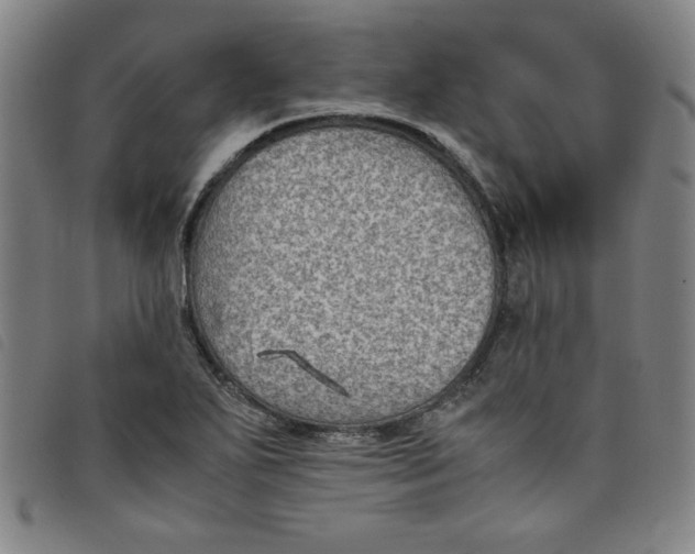 X0000097881271200804041606