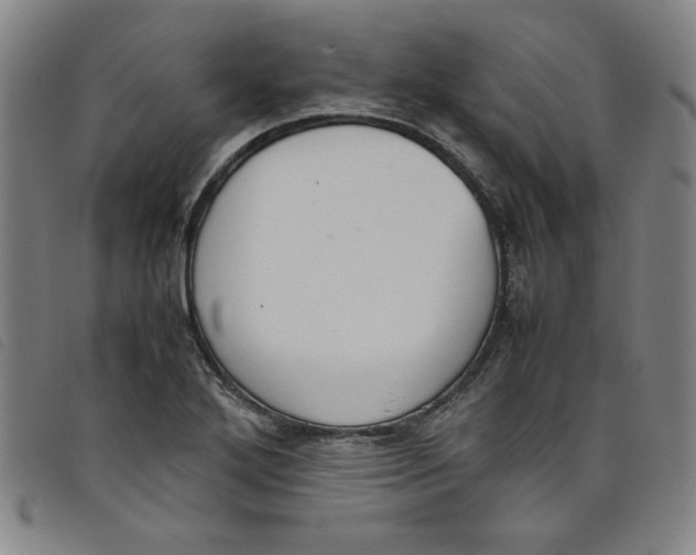 X0000097881272200804041606