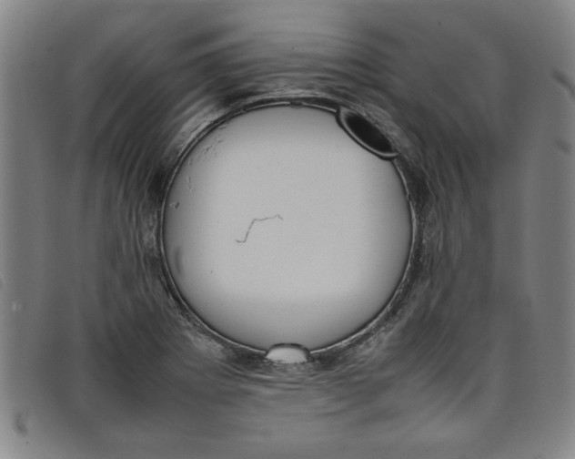 X0000097881273200804041606